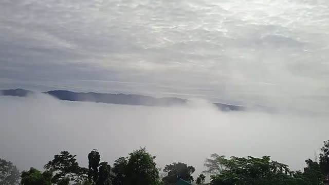 sajek vlog