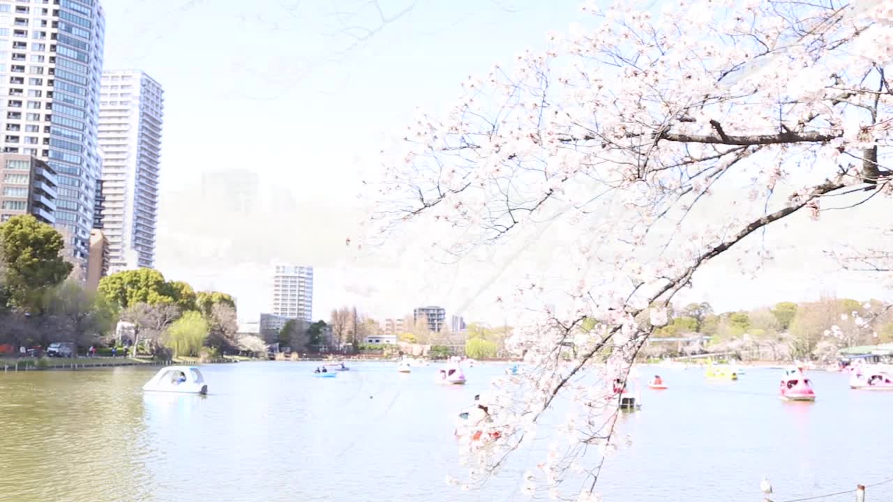 Tokyo - Ueno Sakura Park