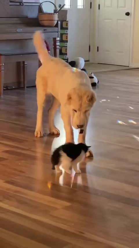 So sweet 😍😍😍