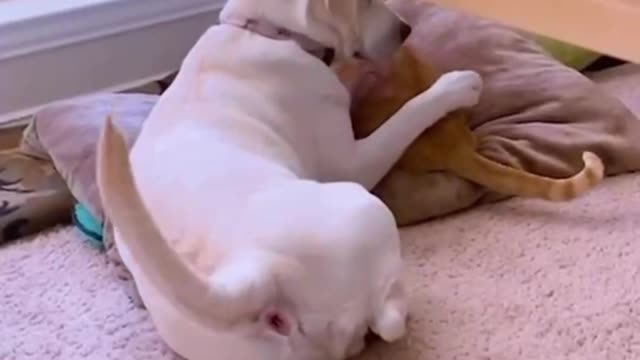 So cute, want to hug