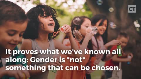 New Test Video for Joe