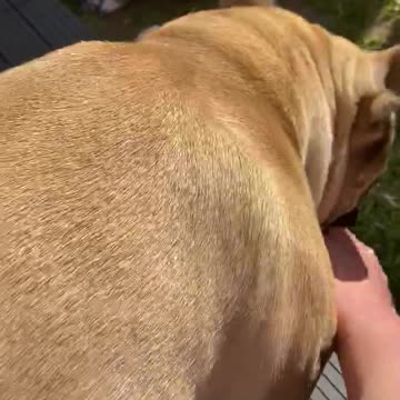 When your in lockdown and mum asks to share your only treat!