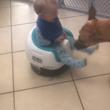 Baby Boy Rides A Roomba Around The Kitchen