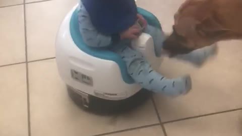 Baby Boy Rides A Roomba Around The Kitchen