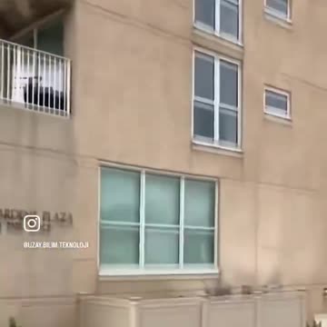 Cat Climbs Wall of Multi-Story Building, Falls Off Unharmed
