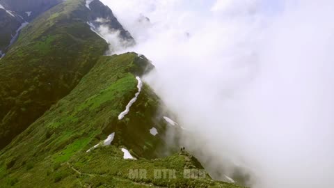 Feel This Nature Vibe|#nature