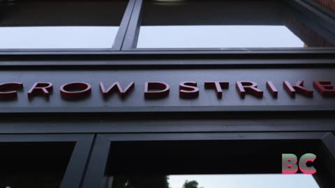 CrowdStrike update that caused global outage likely skipped checks