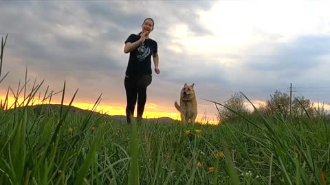 An Ideal relationship between the Animals and human.Which you never seen.