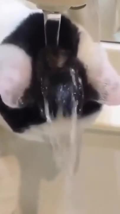 TRY NOT TO LAUGH_how to drink water Funny Videos