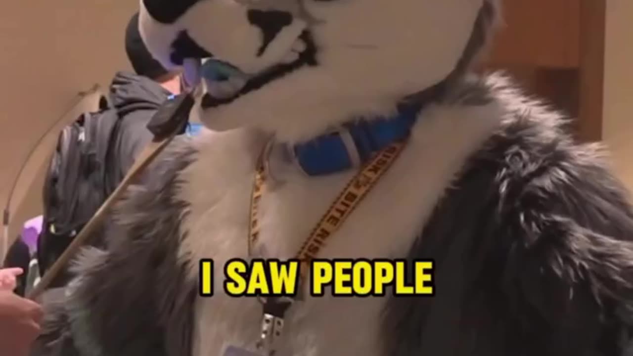 Life of a Furry #TardedAF