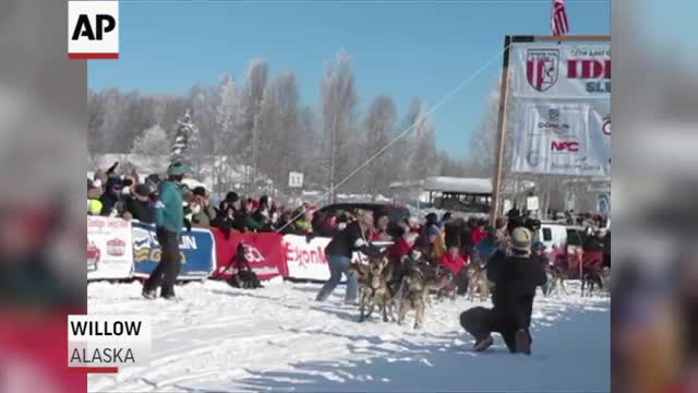 Alaska's Iditarod Trail Sled Dog Race Kicks Off