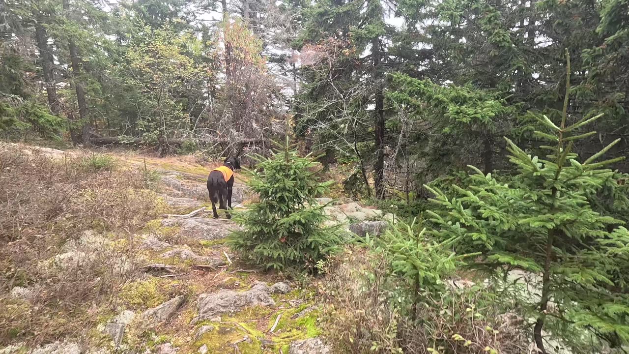 Testing the GoPro 13 on Little Moose Pond Trail