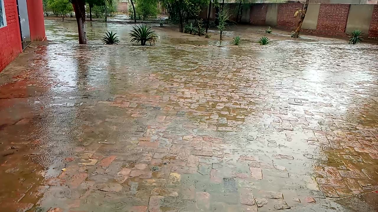 Monsoon Magic: Rainy Day Beauty