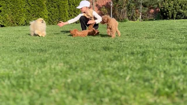 /woman-with-dogs-in-garden