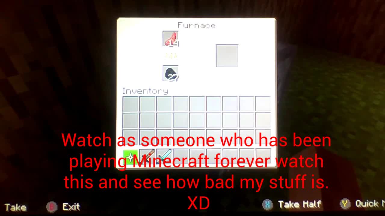 Minecraft World