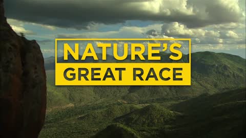 Nature's Great Race