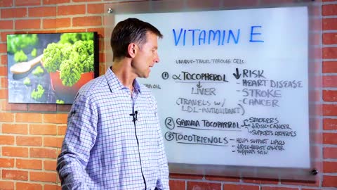 DrBerg-What Is Vitamin E? Functions, Sources, Deficiency