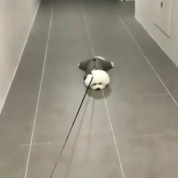 to lazy to go to work