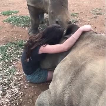 So much love and trust ❤️🦏 Apply for a feature following