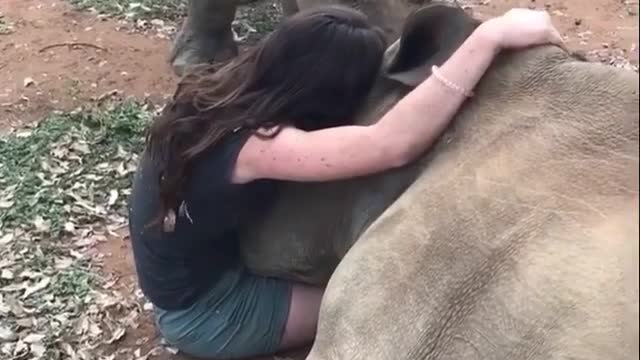 So much love and trust ❤️🦏 Apply for a feature following