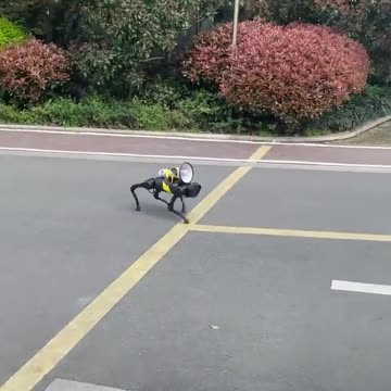 Robot dog patrols the empty streets of Shanghai with a loudspeaker
