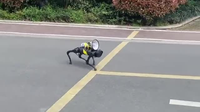 Robot dog patrols the empty streets of Shanghai with a loudspeaker