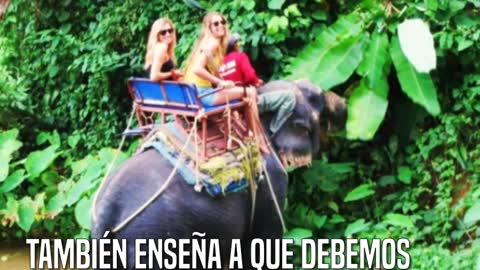 La carta de esta joven está conmoviendo al mundo