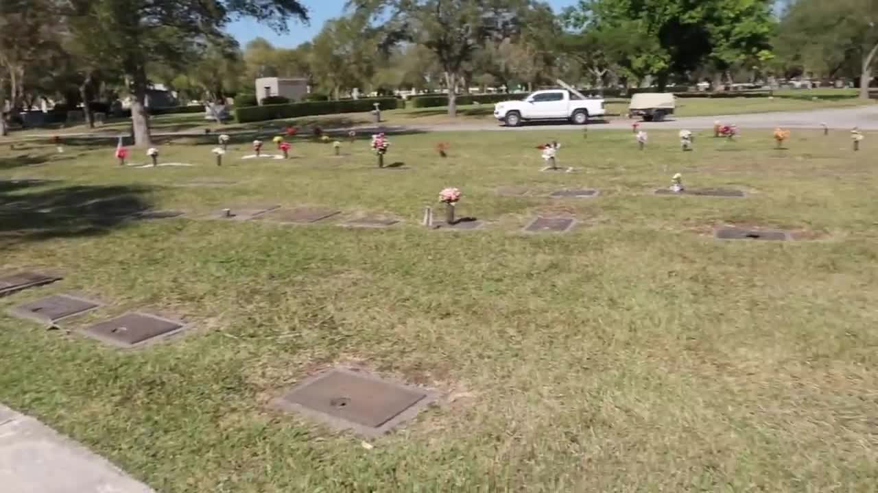 ZOMBIE FISH FOUND in CEMETERY Pond Caught on Camera