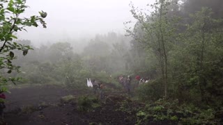 Guatemalans flock to Pacaya volcano to see lava spill