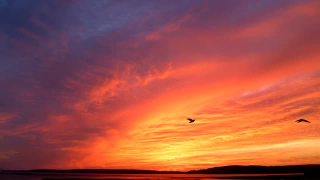 Sunrise and nature landscape