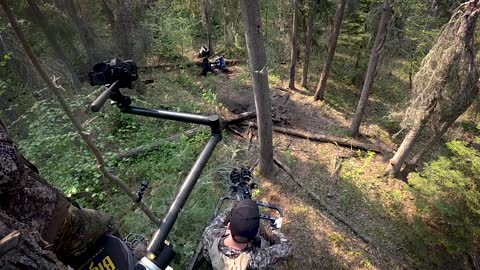 Top 20 Boone and Crockett Saskatchewan Black Bear Shot By Michigan Hunter