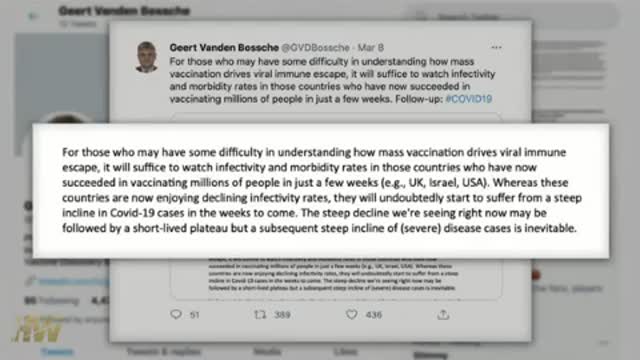 Highwire - Vaccine Disaster - Geert Vanden Bossche segment