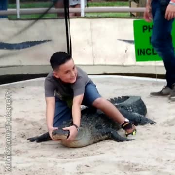9 Year Old Wrestles an Alligator