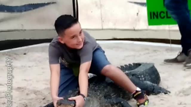 9 Year Old Wrestles an Alligator