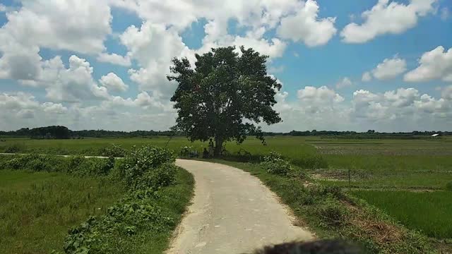 Beautiful village of my country (Bangladesh)