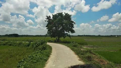 Beautiful village of my country (Bangladesh)