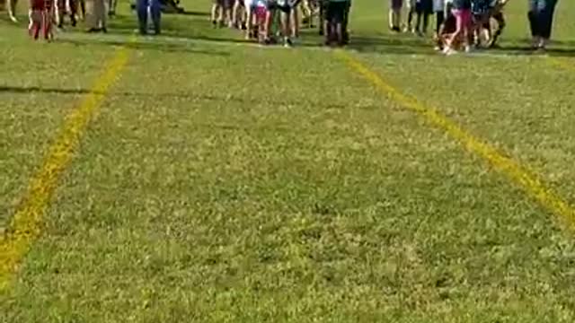 Field Day Fun
