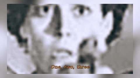 Murder By Numbers - The Police