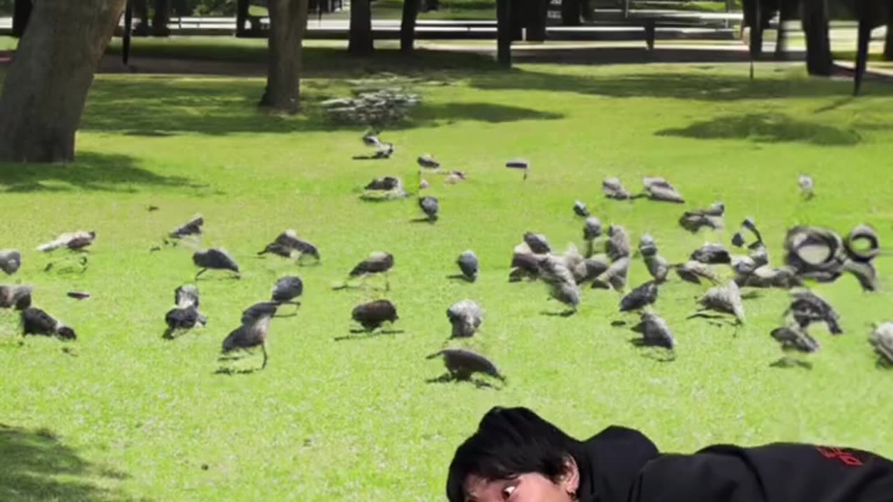 ISSEI funny video 😂😂😂 New Meme Remix