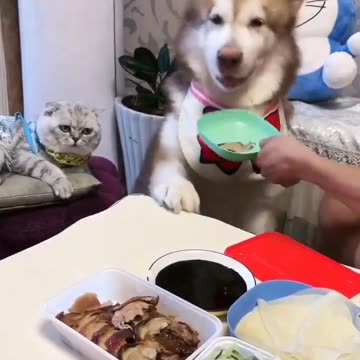 Please don’t short change my order 🤣