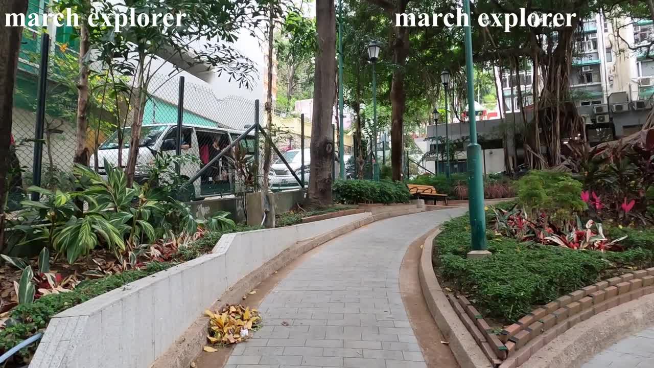 Blake Garden, Sheung Wan, [1894年開放] 上環卜公花園。特大老榕樹 mhp1360, May 2021