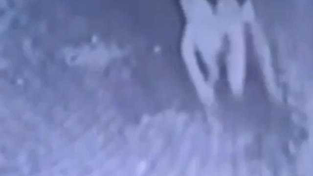 Vaccinated chasing unvaccinated 😂