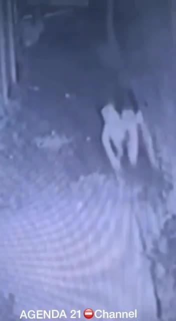 Vaccinated chasing unvaccinated 😂