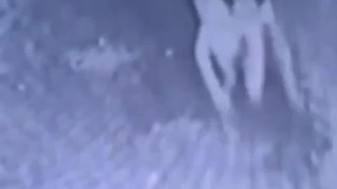 Vaccinated chasing unvaccinated 😂