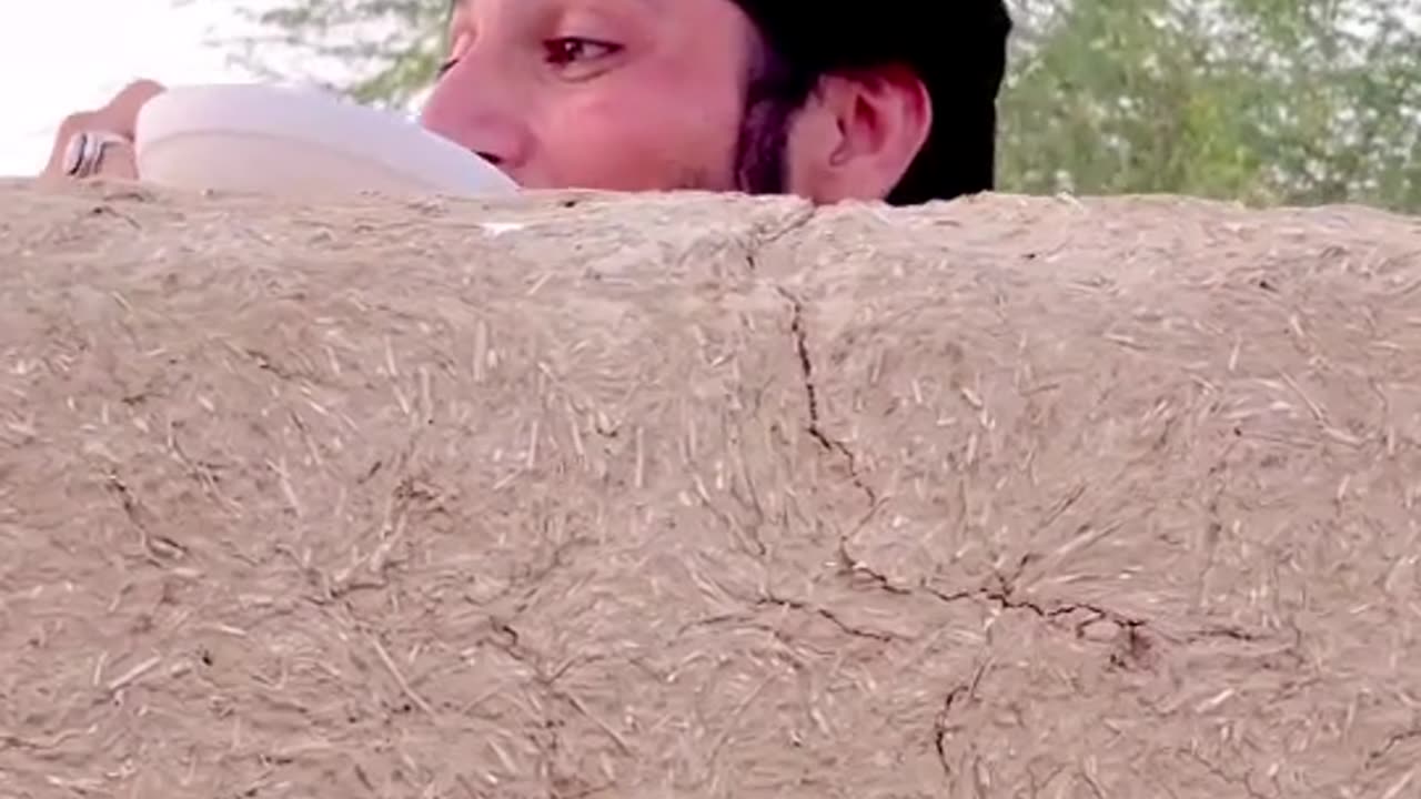 Funny video
