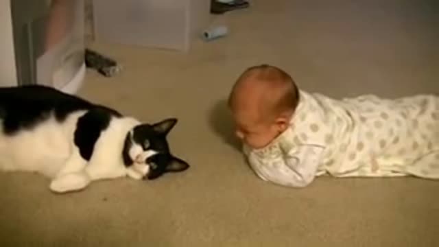 Cats Meeting Babies for the FIRST TIME cute reaction