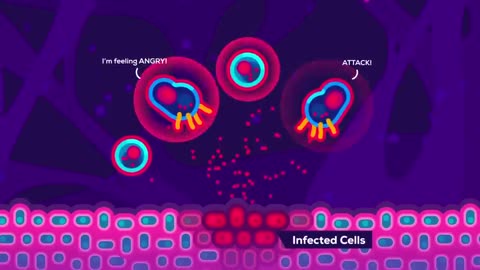 The Coronavirus Explained & What You Should Do 🦠🛡️