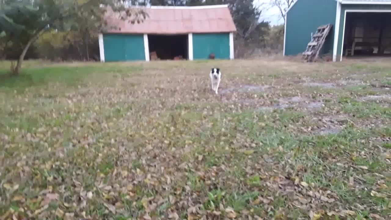 Skipper's Rainwater Capture