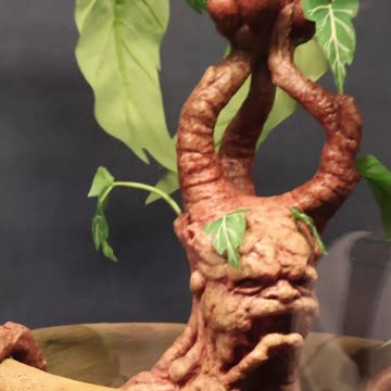 I Found A Shy Mandrake. #harrypotter #wbtour #tokyo #themakingofharrypotter