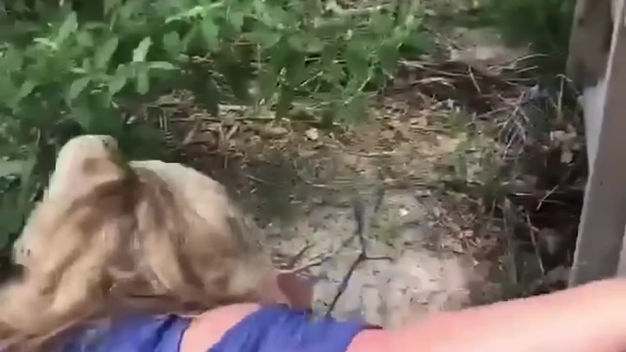 Funny Fails | Just for laughs